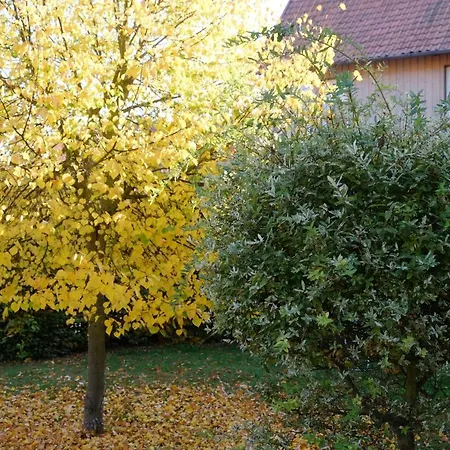 Ferienwohnung Lavendel Bleicherode